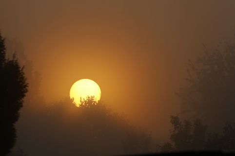 Zuschauer tödlich verletzt