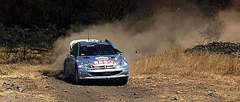 Vorschau Safari-Rallye 2001.