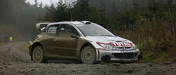 Peugeot gewinnt die Rallye-Weltmeisterschaft