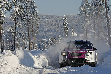 Kein M2-Team aus Holland