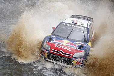 Loeb: „Wie ein Pitbull“