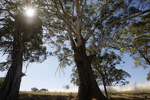 Unbekannte Rallye Australien