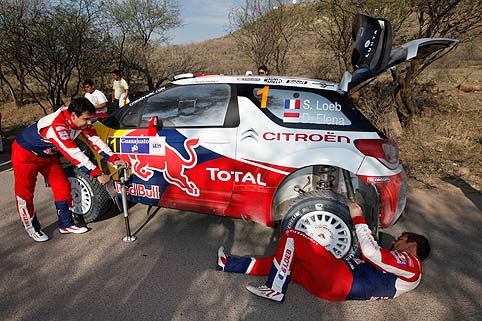 Loeb macht Hackordnung klar