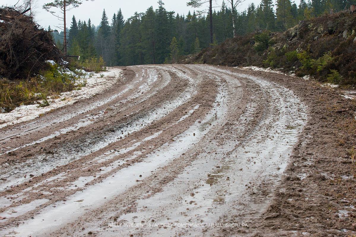 Zu warm! Bangen um Rallye Schweden