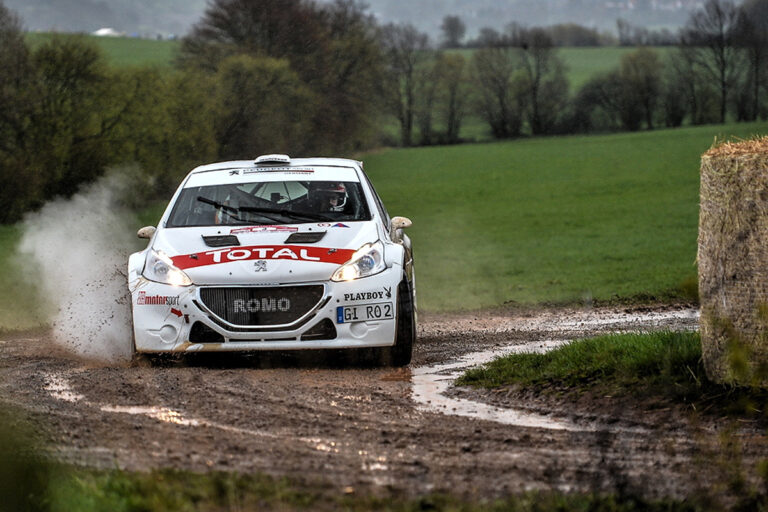 Die Löwen sind los!