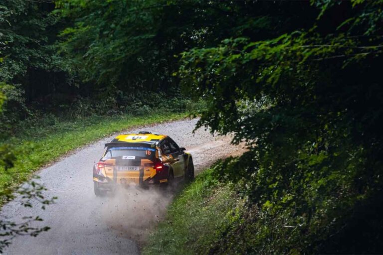 Steuerhinterziehung in Ungarn